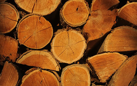 We sell a mixture of maple, ash, oak, birch, hickory, and cherry, as well as other less common hardwoods.