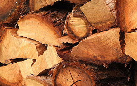 We sell only the best species of hardwood, cut, split, and delivered. Two cord minimum, with a discount for three cords and above.
