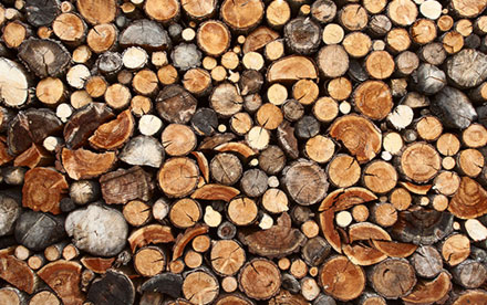 We sell only the best species of hardwood, cut, split, and delivered. Two cord minimum, with a discount for three cords and above.